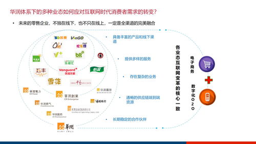 大型集团企业数字化管控平台及信息化治理服务体系建设方案ppt